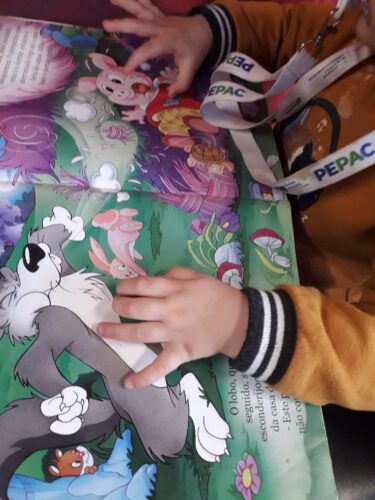 Esta imagem mostra uma criança a ver a história, nomeadamente a cena escolhida pelo grupo para representar na capa. Todas as crianças exploraram a história folheando as páginas e imitando a reação do Lobo e dos Porquinhos.